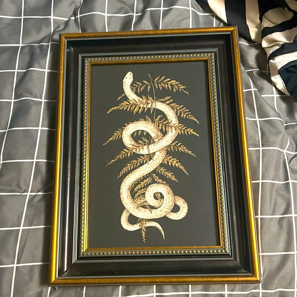 Framed Snake Vine Print